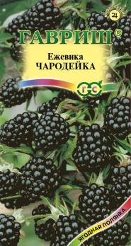 Ежевика Чародейка 10шт сер.Ягодная полянка