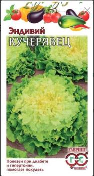 Эндивий Кучерявец 0,1гр скр.Традиция /диетическая культура