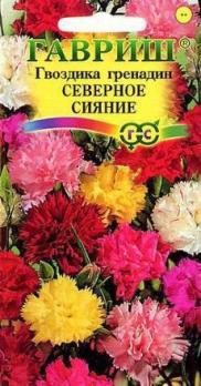 Гвоздика Гренадин Северное Сияние Садовая 0,05гр /двулетник