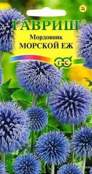 Мордовник Морской еж цв.  0,3гр.
