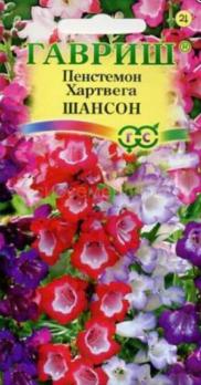 Пенстемон Хартвига Шансон наперсянковый/0,1г 