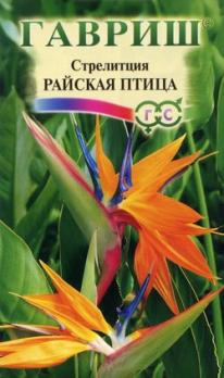 Стрелиция Райская птица (комн.) 3шт.