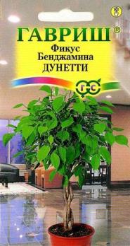 Фикус Бенджамина Дунетти / 0,01г