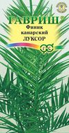 Финик канарский Луксор / 2шт./