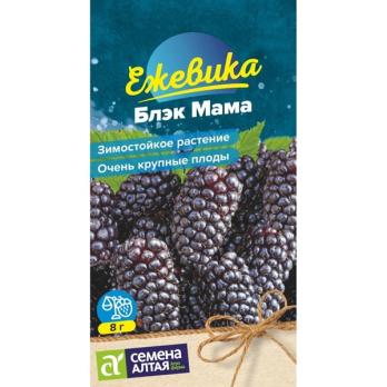 Ежевика Блэк Мама 0,03гр крупноплодная /зимостойкая
