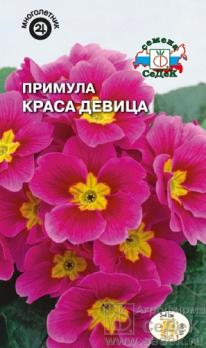 Примула Краса Девица 5шт бесстебельная розовая /многолетик