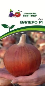 Лук репч. Валеро F1 0,5гр /раннеспелый