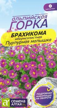 Брахикома Пурпурная Малышка 0,05гр сер.Альпийская горка /однолетник