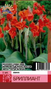 Канна Бриллиант (1шт) красная крупная