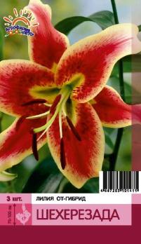 Лилия Шехерезада (ОТ гибрид гибрид) 3шт