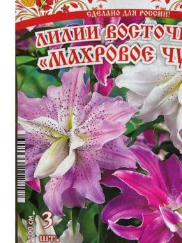 Лилия вост.махр Махровое Чудо (3шт) 