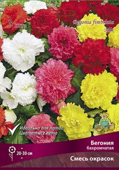 Бегония смесь окрасок (3шт) 30см бахромчатая 4/5