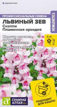 Львиный Зев Снэппи Пламенная Орхидея 7шт Профессиональные семена /однолетник