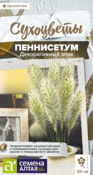 Пеннисетум мохнатый злак декоративный 5шт сер.Сухоцветы /однолетник