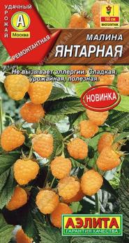 Малина Янтарная 20шт /сладкая урожайная