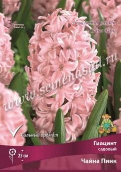 Гиацинт садовый Чайна Пинк 14/15 (3шт)