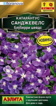 Катарантус Санджевелс Блуберри Шейдс 7шт Сел.Floranova Золотая серия /однолетник