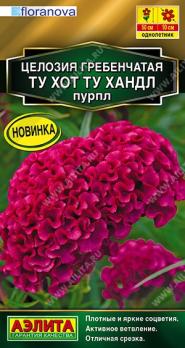 Целозия Ту Хот Ту Хандл Пурпл 5шт гребенчатая Сел.Floranova Золотая серия /однолетник