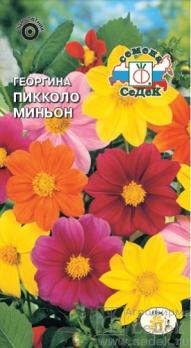 Георгина Пикколо миньон 0,2гр карликовая смесь цветов /однолетник