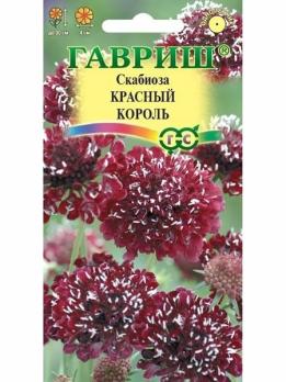 Скабиоза Красный Король 6шт махровая темнопурпурная /однолетник