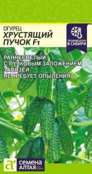 Огурец Хрустящий Пучок F1 5шт /раннеспелый партенокарпический