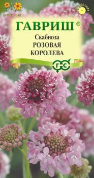 Скабиоза Розовая Королева 6шт темнопурпурная махровая /однолетник