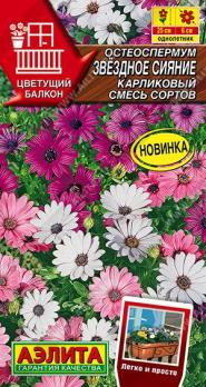 Остеоспермум Звездное Сияние 10шт карликовый смесь сортов сер.Цветущий балкон /однолетник