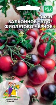 Томат Балконное Чудо Фиолетово-Черное 12шт /суперурожайный скороспелый сорт 