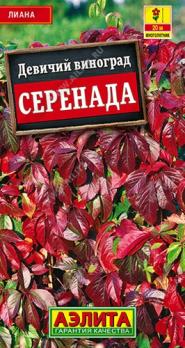Девичий виноград Серенада 10шт /многолетник
