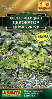 Хоста Декоратор 5шт смесь сортов Золотая серия /многолетник