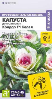 Капуста декор. Кондор F1 Белая 5шт Профессиональные семена /однолтеник