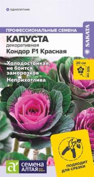 Капуста декор. Кондор F1 Красная 5шт Проофессиональные семена /однолетник