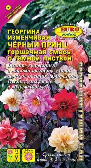 Георгина Черный Принц 0,2гр смесь горшечная /однолетник