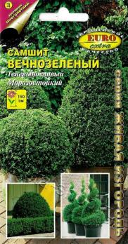 Самшит Вечнозеленый 0,1гр /многолетник