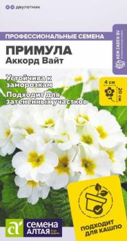 Примула Аккорд Вайт 5 шт Профессиональные семена /двулетник