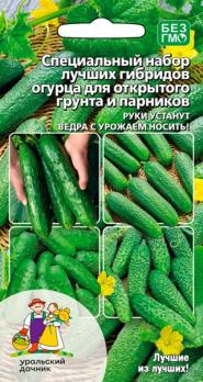 Набор гибридов огурца для Открытого Грунта 10шт /великолепная смесь сверхурожайных