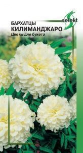 Бархатцы Килиманджаро 35шт сер.Select /однолетник