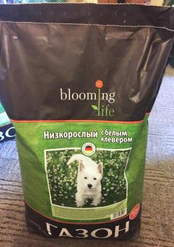 Газон НИЗКОРОСЛЫЙ с БЕЛЫМ Клевером 10кг /СЗ Германия сер.Blooming Life 
