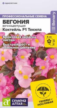 Бегония Коктейль F1 Текила 5шт вечноцветущая сер.Профессиональные семена /однолетник