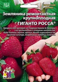 Земляника Гиганто Росса 10шт /крупноплодная ремонтантная  