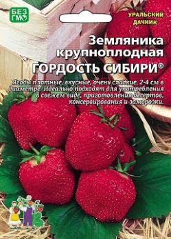 Земляника Гордость Сибири 10шт /крупноплодная зимостойкая