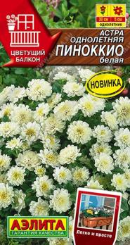 Астра Пиноккио Белая 0,05гр карликовая сер.Цветущий балкон /однолетник