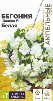 Бегония Шансон F1 Белая 5шт ампельная клубневая сер.Амельные шедевры /однолетник