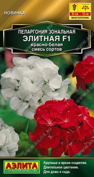 Пеларгония Элитная F1 Красно-Белая 5шт смесь сортов Золотая серия /многолетник