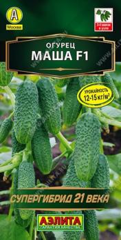 Огурец Маша F1 6шт СУПЕРгибрид 21 века /суперпопулярный ультраранний