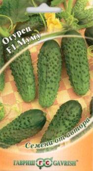 Огурец МуМу F1 10шт сер.Семена от автора /скороспелый партенокарпический