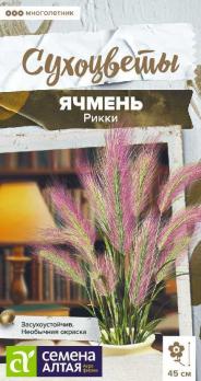 Ячмень Рикки 5шт гривастый сер.Сухоцветы /многолетник