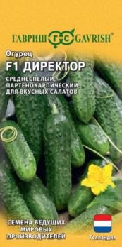 Огурец Директор F1 5шт (Голландия) /среднеспелый партенокарпический