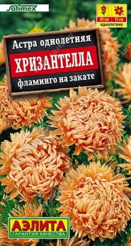 Астра Хризантелла Фламинго на Закате 15шт Сел.Satimex /однолетник