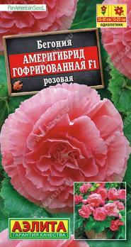 Бегония Америгибрид гофр.F1 Розовая 5шт (драже в пробирке) Сел.PanAmerican Seed/однолетник
